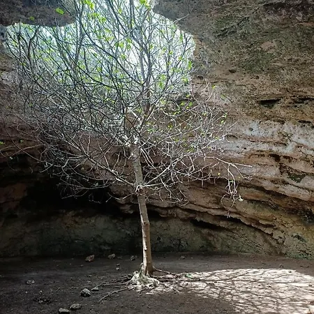 U Mare Mio Bed & Breakfast